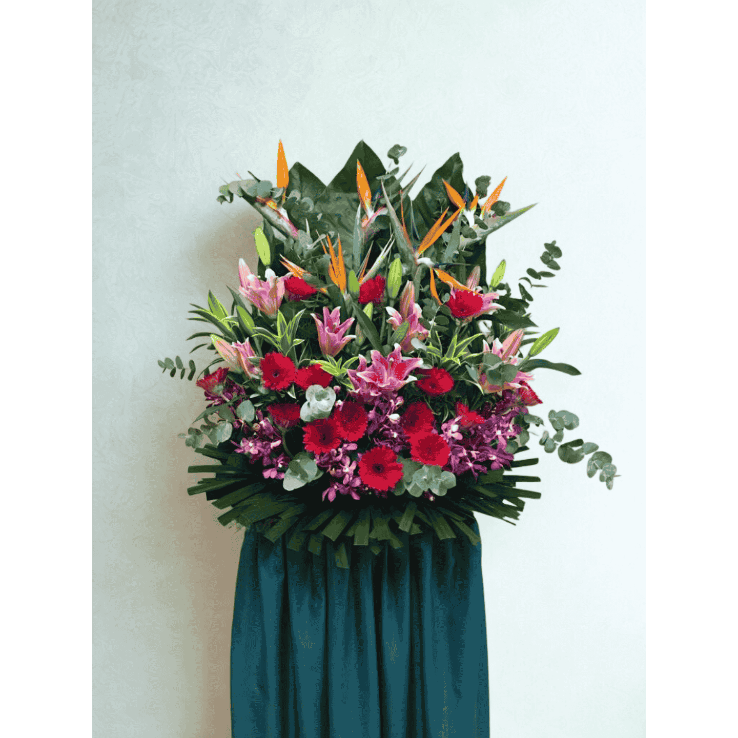 Bright congratulations