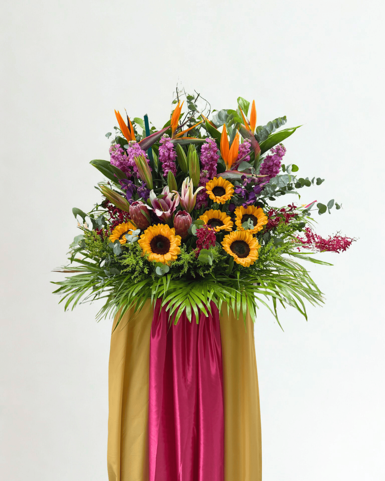 Vibrant success